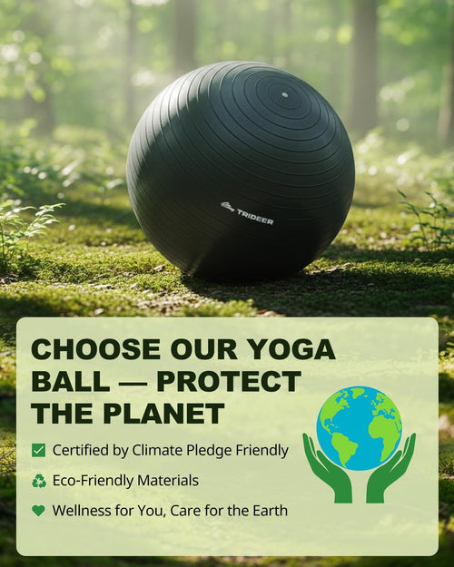REFRESH Optimal Exercise Ball